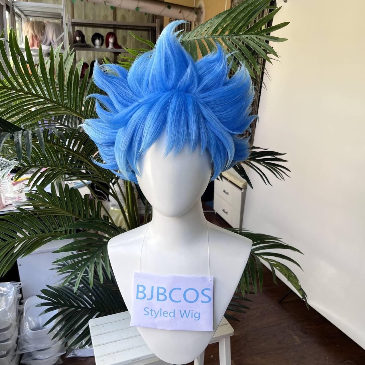 [Styled Wig]Ortho Cosplay Wig  - Men Accessories Style recension och pris